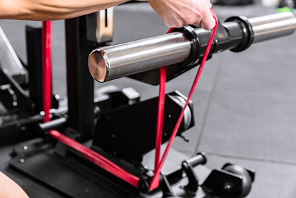 Leg Extension &amp; Leg Curl Attachment