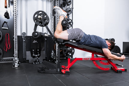 Leg Extension &amp; Leg Curl Attachment
